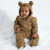 Teddy Brown