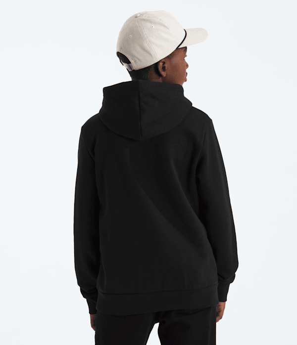 Boys-Girls-Evolution-Simple-Dome-Pullover-Hoodie-TNF-BACK.png