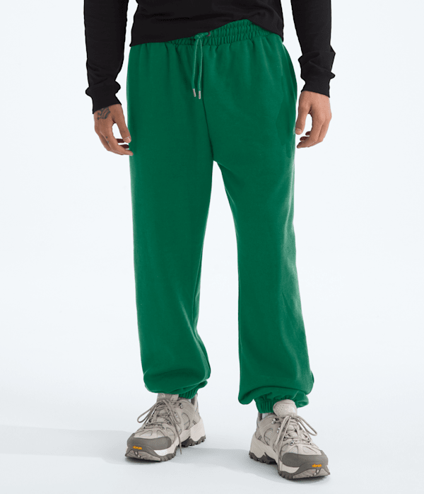 Mens-TNF-Essential-Simple-Dome-Relaxed-Pants-TNF-HERO.png