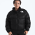 TNF Black/Recycled Down